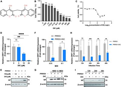 A dicoumarol-graphene oxide quantum dot polymer inhibits porcine reproductive and respiratory syndrome virus through the JAK-STAT signaling pathway
